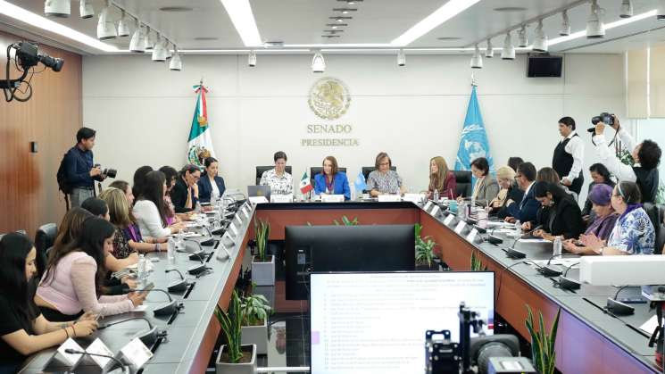 Senadoras reconocen ante ONU que sigue violencia contra mujeres