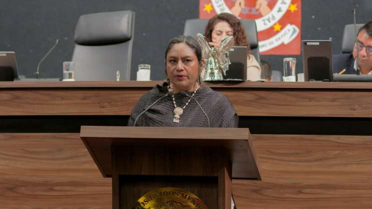 Municipios deben salvaguardar datos personales: Irma Pineda