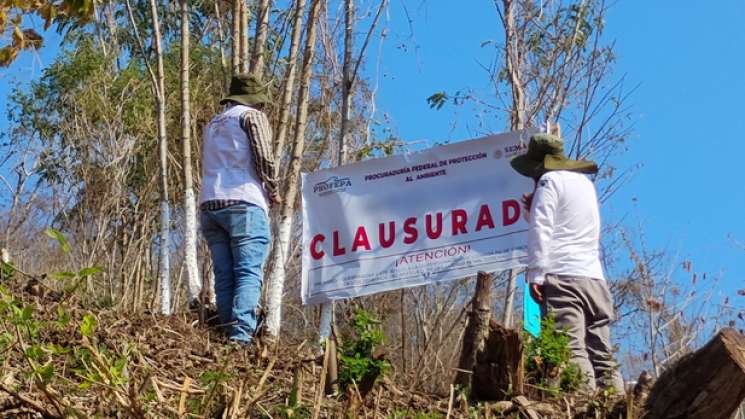 PROFEPA clausura proyectos inmobiliarios en Costa e Istmo