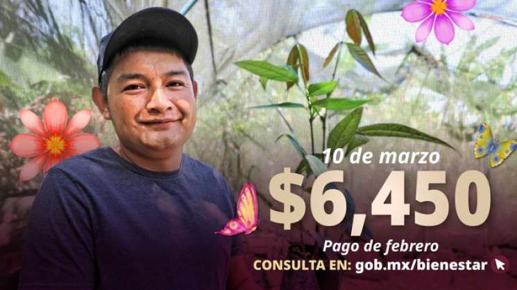BIENESTAR comenzó pago del Programa Sembrando vida