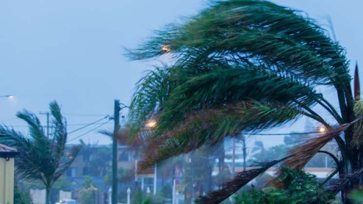 Frente Frío 41 llega con vientos, lluvias y bajas temperaturas