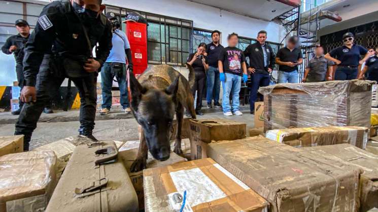 Detectan tráfico de drogas por paqueria, inviestigan a remitentes