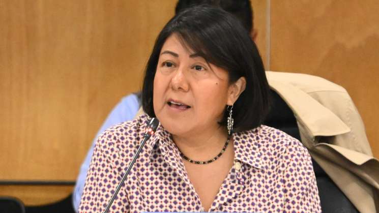 Se consulta a pueblos indígenas para nuevos partidos locales: ESG