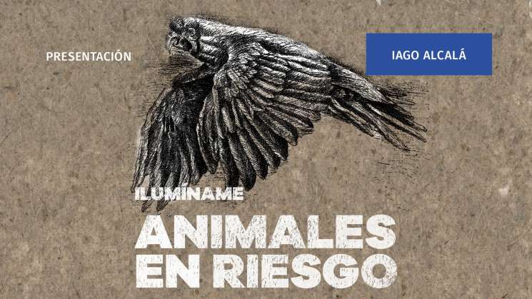 IAGO presentará el libro para colorear Animales en Riesgo