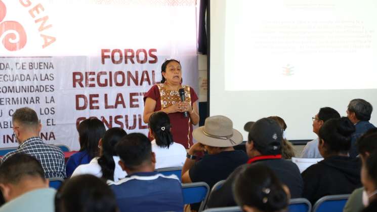 Participa Huajuapan y Pochutla en consulta indigena: IEEPO