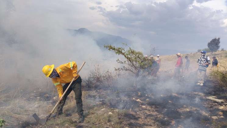 COESFO atiende once incendios registrados en una sola semana
