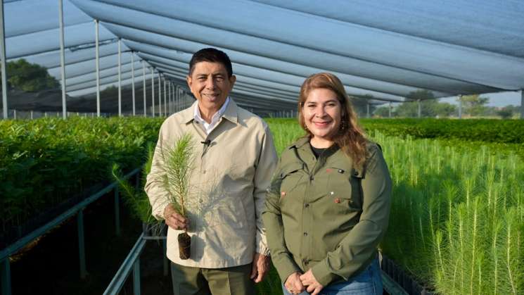 Oaxaca se suma a la Jornada Nacional de Reforestación
