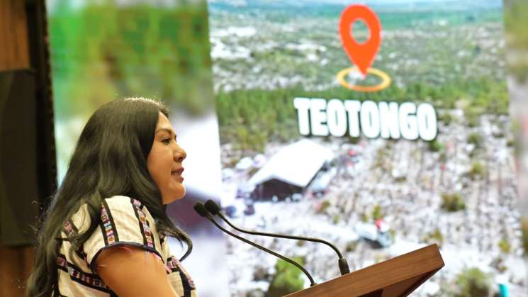 Oaxaca a la vanguardia en reforestación: Tania Caballero