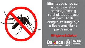 dengue 2 septiembre